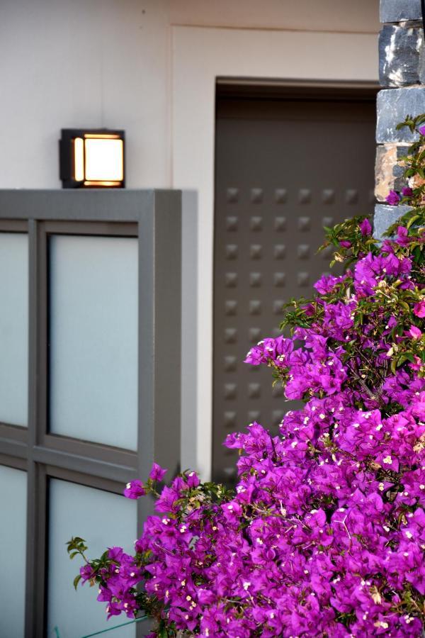Ελιάδες - Eliades Apartments Каристос Екстериор снимка